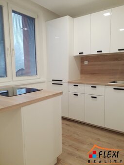 Pronájem bytu 1+1, 36m² s lodžií na ul. I.P. Pavlova - Frýde - 2