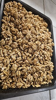 Prodám vlašské ořechy loupané - 2