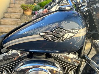 Harley Davidson, FLSTC, Heritage Softail100th - 2