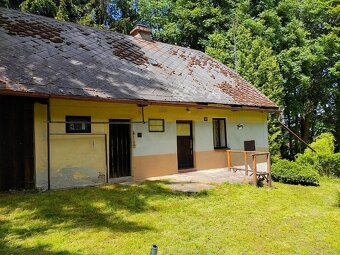 prodám chaloupku na samotě u lesa - 2