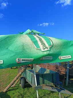 Prodám hospodský slunecnik - 2