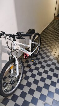 Dětské kolo 24 - 2