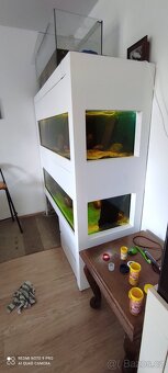 Akvarium 2x 300l - 2