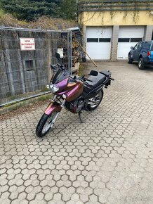 Suzuki XF 650 Freewind - 2