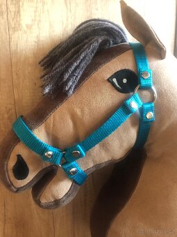 Hobby Horse - 2