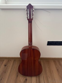Kytara Amada - 2