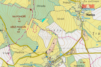 Prodej lesa, 1468 m², Miletice u Dlažova - 2
