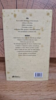 "Vraní dívka" - Erik Axl Sund - 2