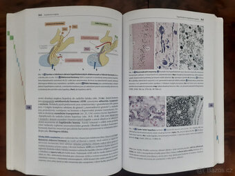 Histologie - 2