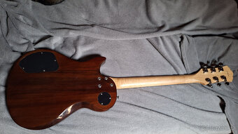 Kytara Washburn WIN14 WA - 2