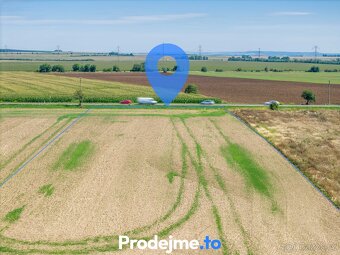 Prodej pozemku 9 718 m², Dyje, ev.č. 100004 - 2