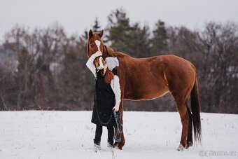 Kobylka A1/1 do bezplatného pronájmu/s odkupem - 2