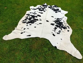 Hovězí kůže - koberec strakatá 11. - 2