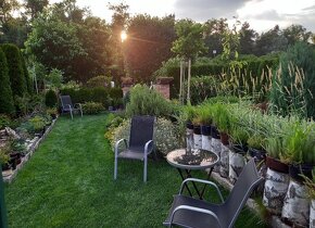 Zahrada v Černé za Bory 694 m2 - 2