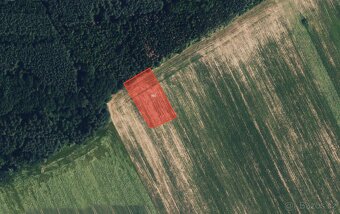 Zemědělská půda, prodej, Určice, Prostějov - 2