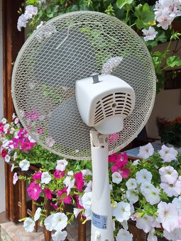 STOJANOVÝ DOMÁCÍ VENTILÁTOR PF 167 - 2