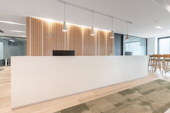 Přístup do profesionálních kancelářských prostor v Regus D1 - 2