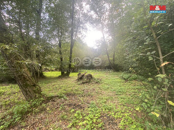 Pronájem zahrady, 546 m², Nový Jáchymov - 2
