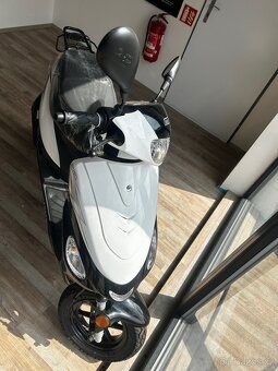 Motorro Digita 50 4T - 2