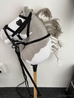 Hobby horsing - 2