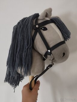 Hobby horse - 2