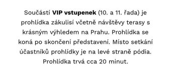 Vstupenky -Otec v šestinedělí - 2