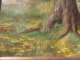 Obraz krajina od Jana Špačková 2005 - 2