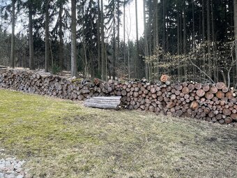 Palivové dřevo - 2