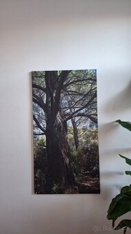 Velký obraz 150x80 - 2