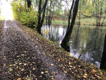 Rybník na prodej - 2