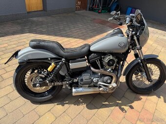Harley Street Bob - 2