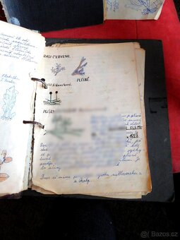 Libor Vojkůvka-malířův školní sešit biologie ze 6. A (1959) - 2