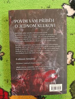 kniha Lapeni od Emily Mcintire - 2