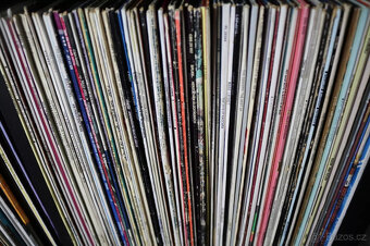 RockPop vinylová kolekce LP, kolekce desek, více než 480 kus - 2