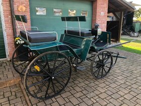 Koňský kočár - 2