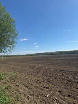 Prodej pole 5 150 m² - 2