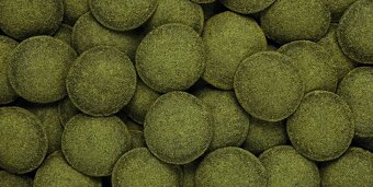 HIKARI ALGAE WAFERS - 2