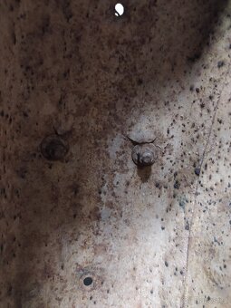 Zadní blatník ČZ - 2