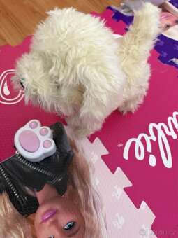 Chodící pes a chodící pes - 2