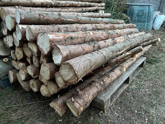 Smrkové kůly - 2