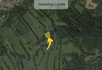 Prodej lesu v k.ú. Valkeřice - 2