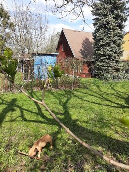 Prodej zahrady s chatkou v Ostravě-Kunčicích - 2