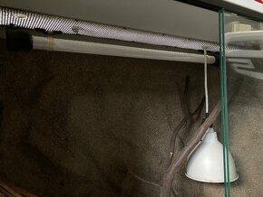 Terarium - 2