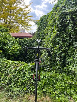 Specialized Allez vel. 54 - 2