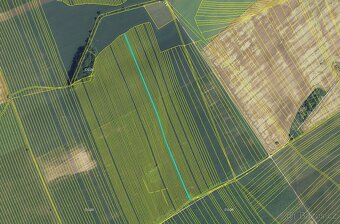 Prodej polí s dobrou bonitou – 5 090 m² - Dolní Bojanovice - 2