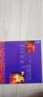 LP Toyen - 2