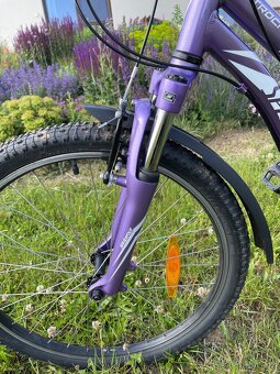 Specialized 24 - 2