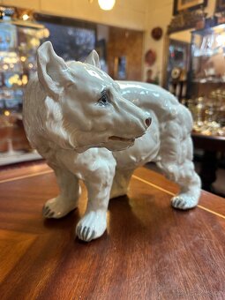 Lední medvěd Haas & Czjzek 1932 - 2