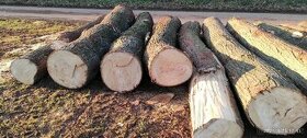 Lipové dřevo - 2