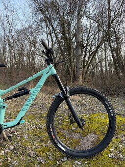 Canyon Torque Mullet AL 5 - 2
